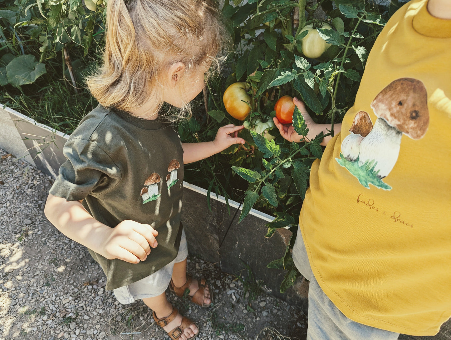 Hand-drawn short sleeve t-shirt mushroom "boletus" - Repeat Pattern